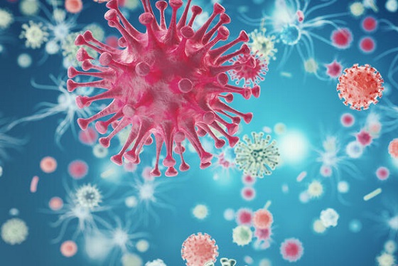 Koronavirüs insan vücudunu nasıl etkiliyor? 1