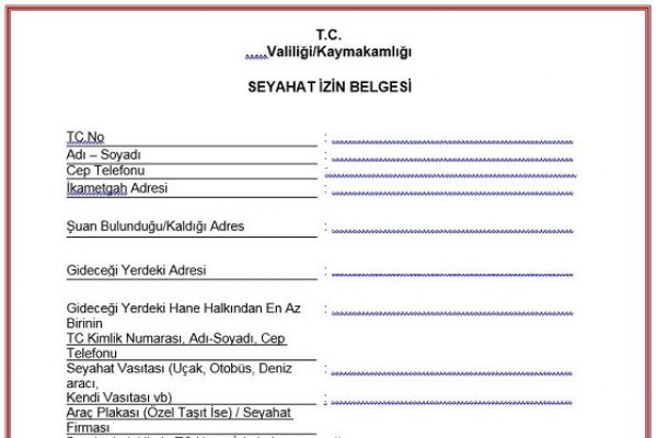 Seyahat İzin Belgesi e-Devlet’ten alınabilecek