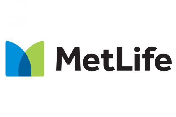 MetLife'tan BES desteği