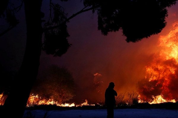Yunanistan'da  orman yangını: Ölü sayısı 49