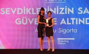 Anadolu Sigorta’nın reklam filmi altın ödül kazandı