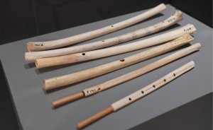 Kaplumbağa kabuğundan kartal kemiklerine Türk çalgıları