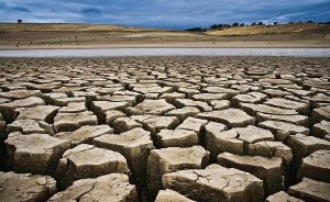 TARSİM'den 366 milyon liralık kuraklık ödemesi
