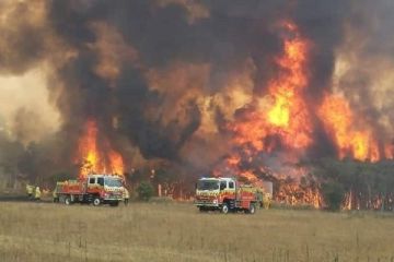 Avustralya'daki yangınların maddi zararı 435 milyon euro